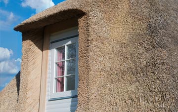 Trefdraeth thatch roof disadvantages