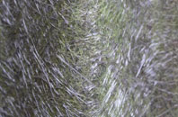 Trefdraeth fibreglass roof work